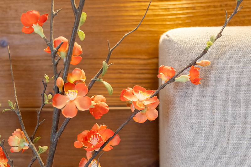 Appartement n°2, Parking gratuit et pisicne